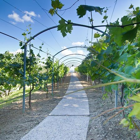 Agriturismo Il Vecchio Mandorlo Перуджа Екстериор снимка