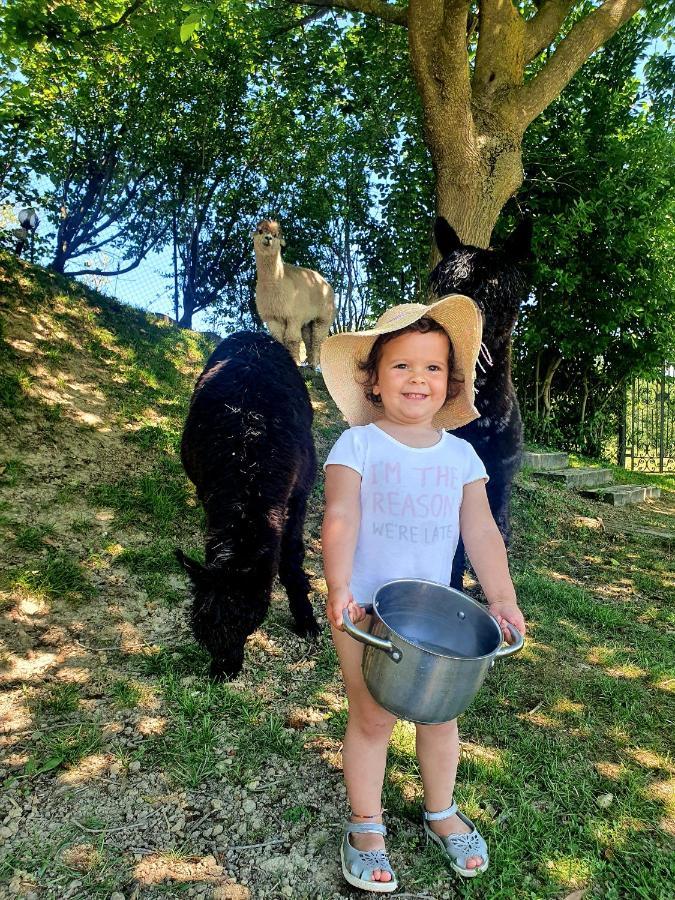 Agriturismo Il Vecchio Mandorlo Перуджа Екстериор снимка