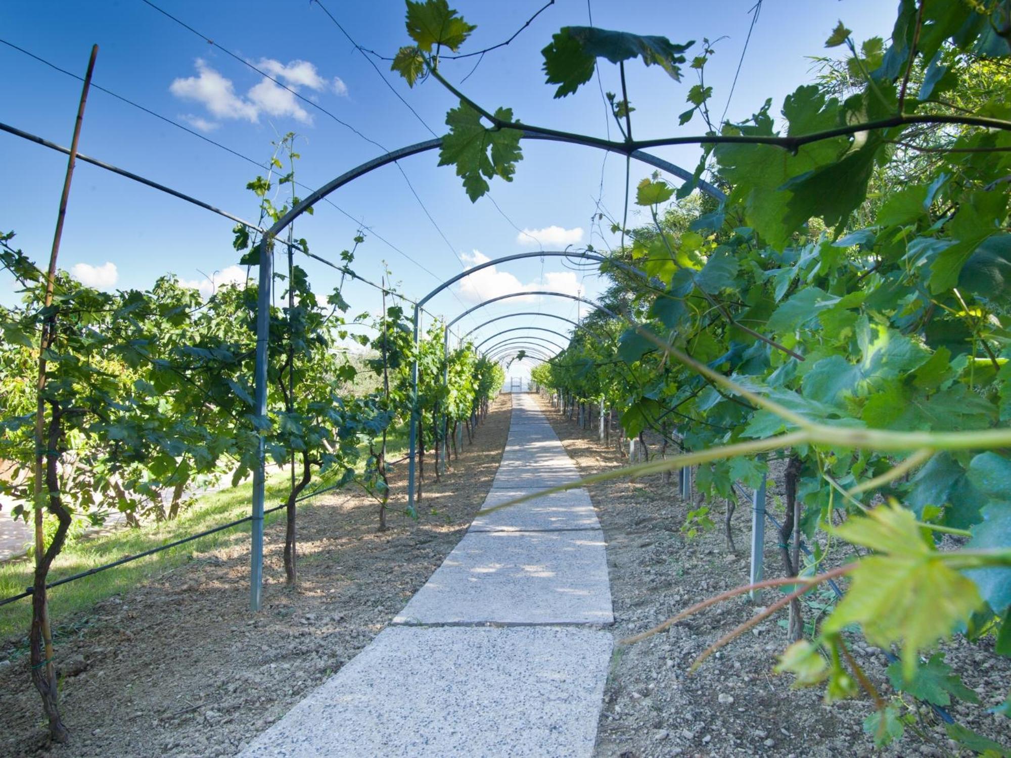 Agriturismo Il Vecchio Mandorlo Перуджа Екстериор снимка